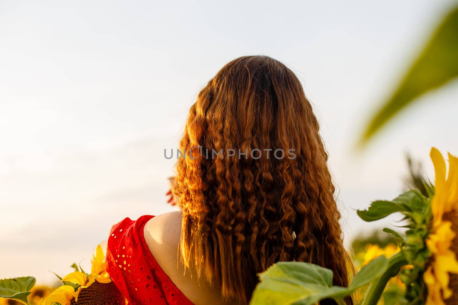 Girl with long hair stands with her back in field of blooming sunflowers in the rays of the setting sun. Beauty in nature. Free young woman enjoying the freshness of the evening