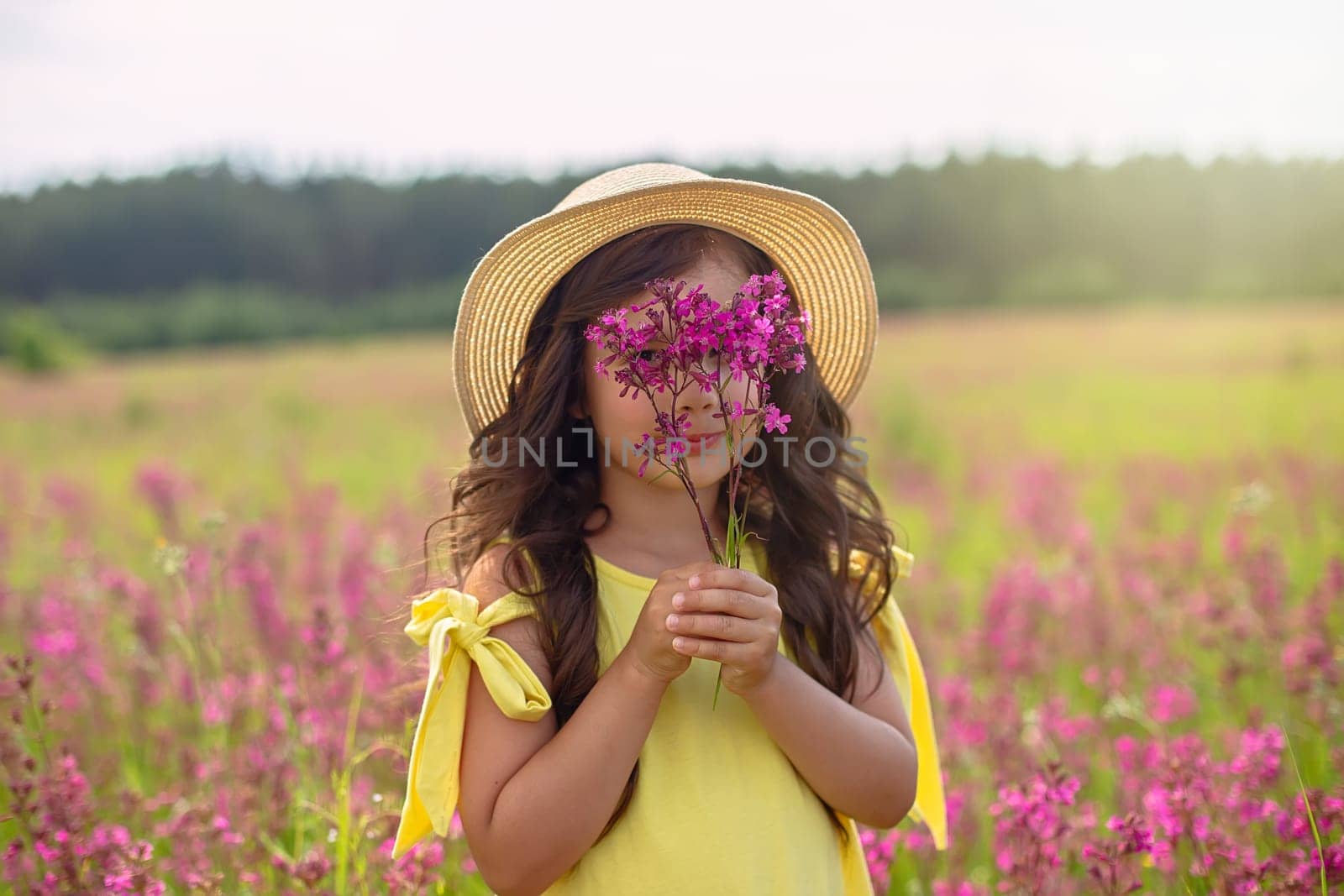 A beautiful playful little girl in a straw hat, with long dark hair, stands in a flowering field, in summer, holds a bouquet of burgundy viscaria flowers near her face. copy space. Close up