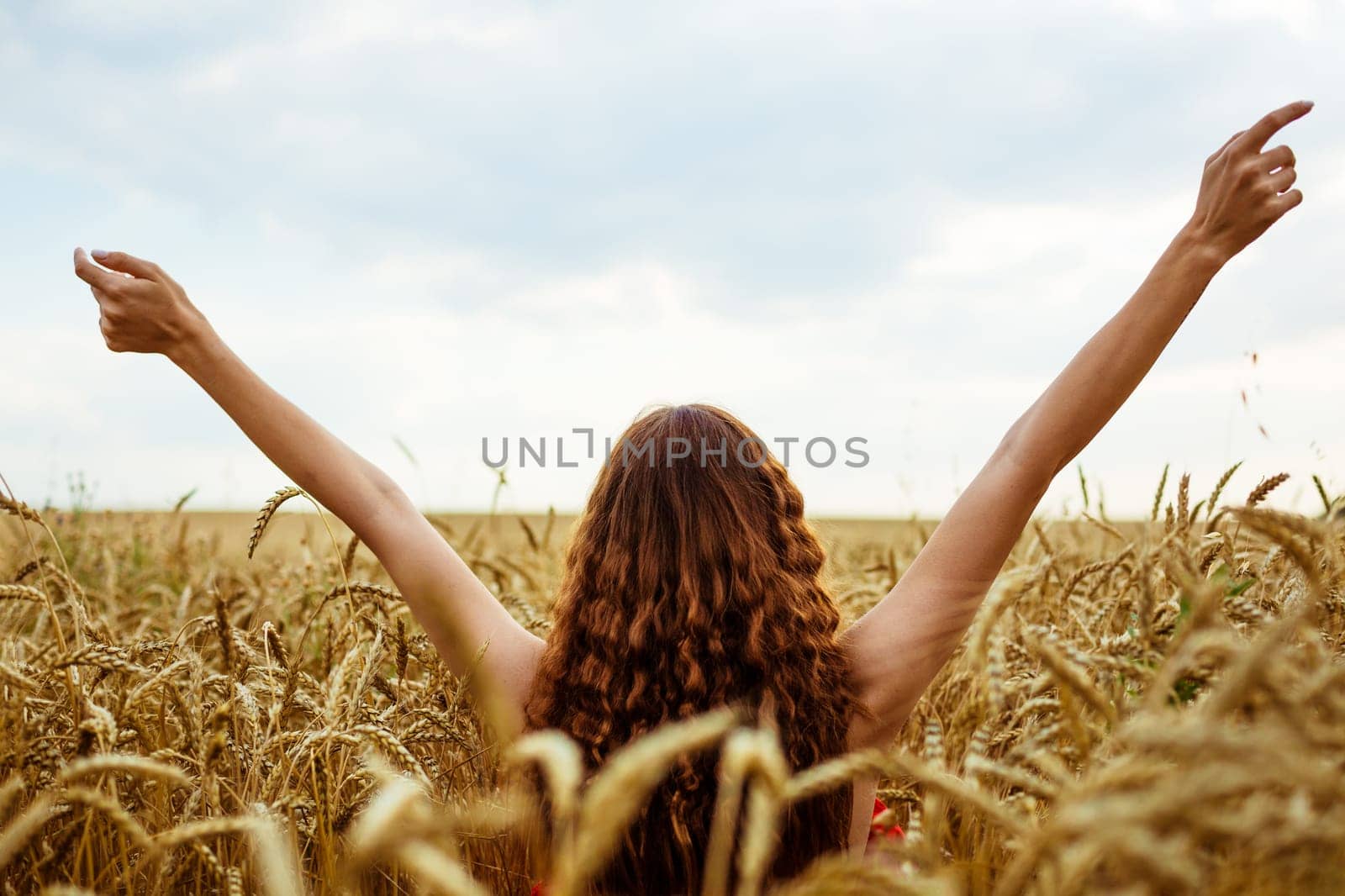 Female hands stick out from the wheat field. Happy young woman is free in a ripe golden wheat field. Nature walks