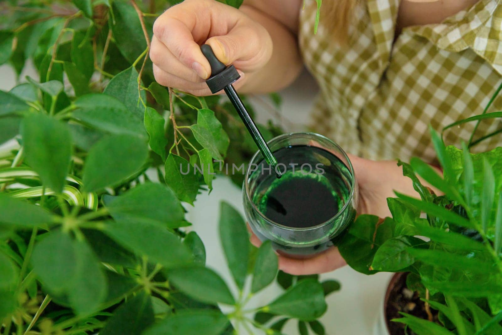 A woman drinks liquid chlorophyll. Selective focus. Nature.