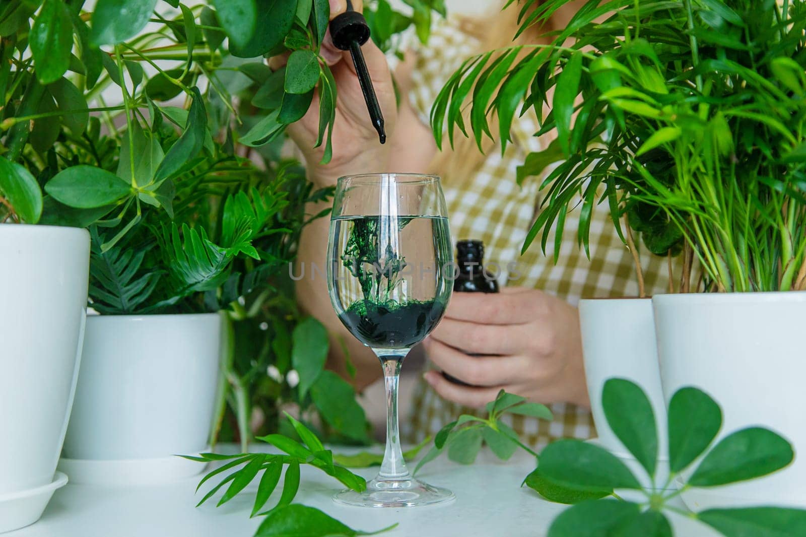A woman drinks liquid chlorophyll. Selective focus. by yanadjana