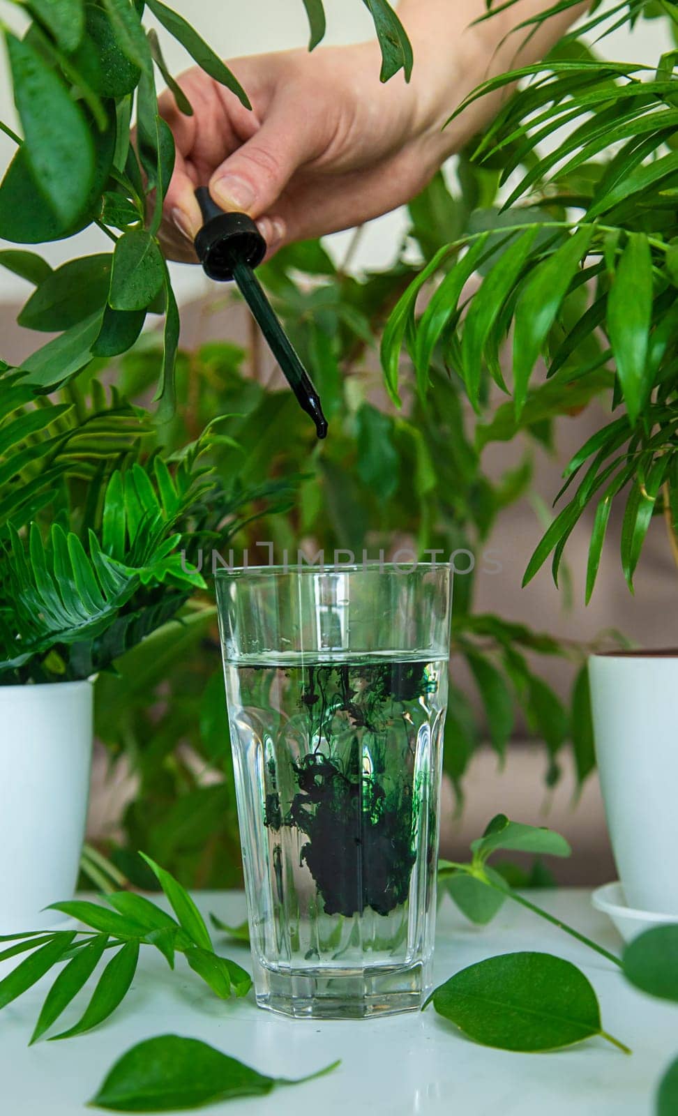 A woman drinks liquid chlorophyll. Selective focus. Nature.