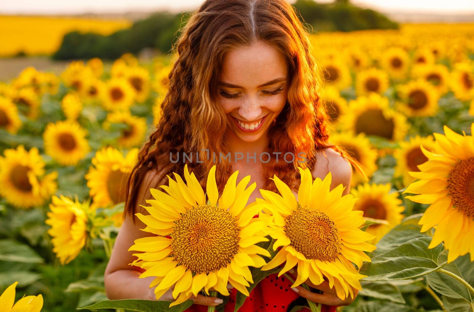 Cute young woman is holding sunflower in her hand while standing in field at sunset. Beautiful gentle girl of Caucasian ethnicity in red dress in the rays of setting sun. The concept of natural