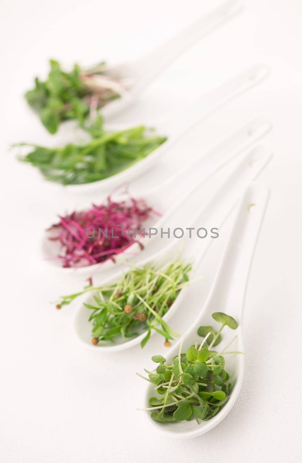 The concept of a healthy diet, the cultivation of microgreens - red amaranth, mustard, arugula, peas, cilantro in white spoons on a white background by aprilphoto