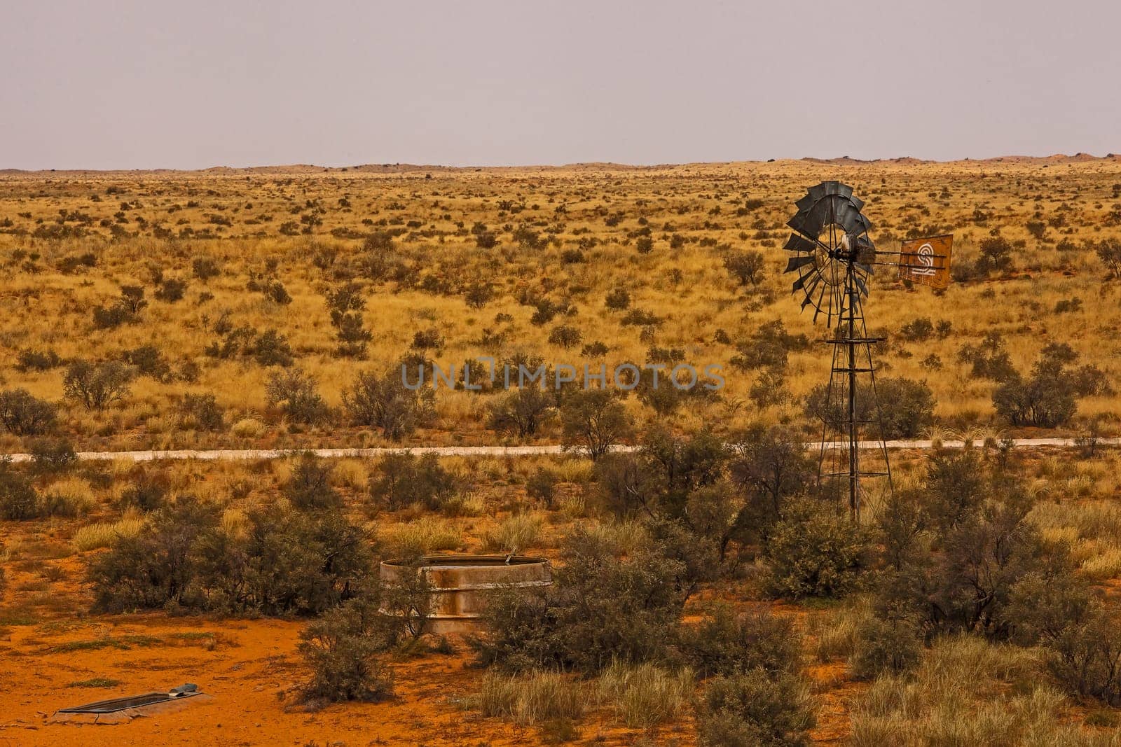 A desolate Kalahari landscape featuring the Auchterlonie Waterhole in the Kgalagadi Transfrontier Park.