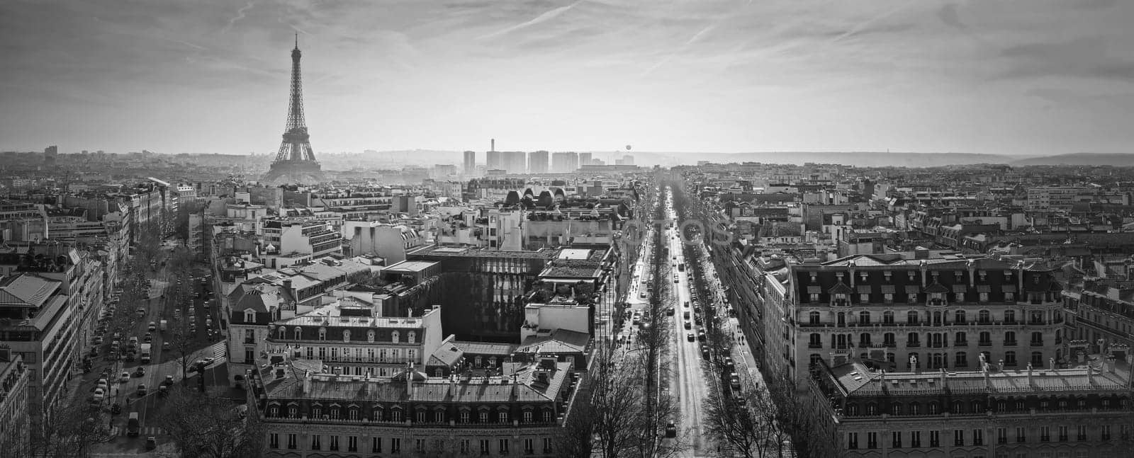 Paris cityscape black and white panorama  with view to the Eiffel Tower, France. Beautiful parisian architecture with historic buildings and landmarks by psychoshadow