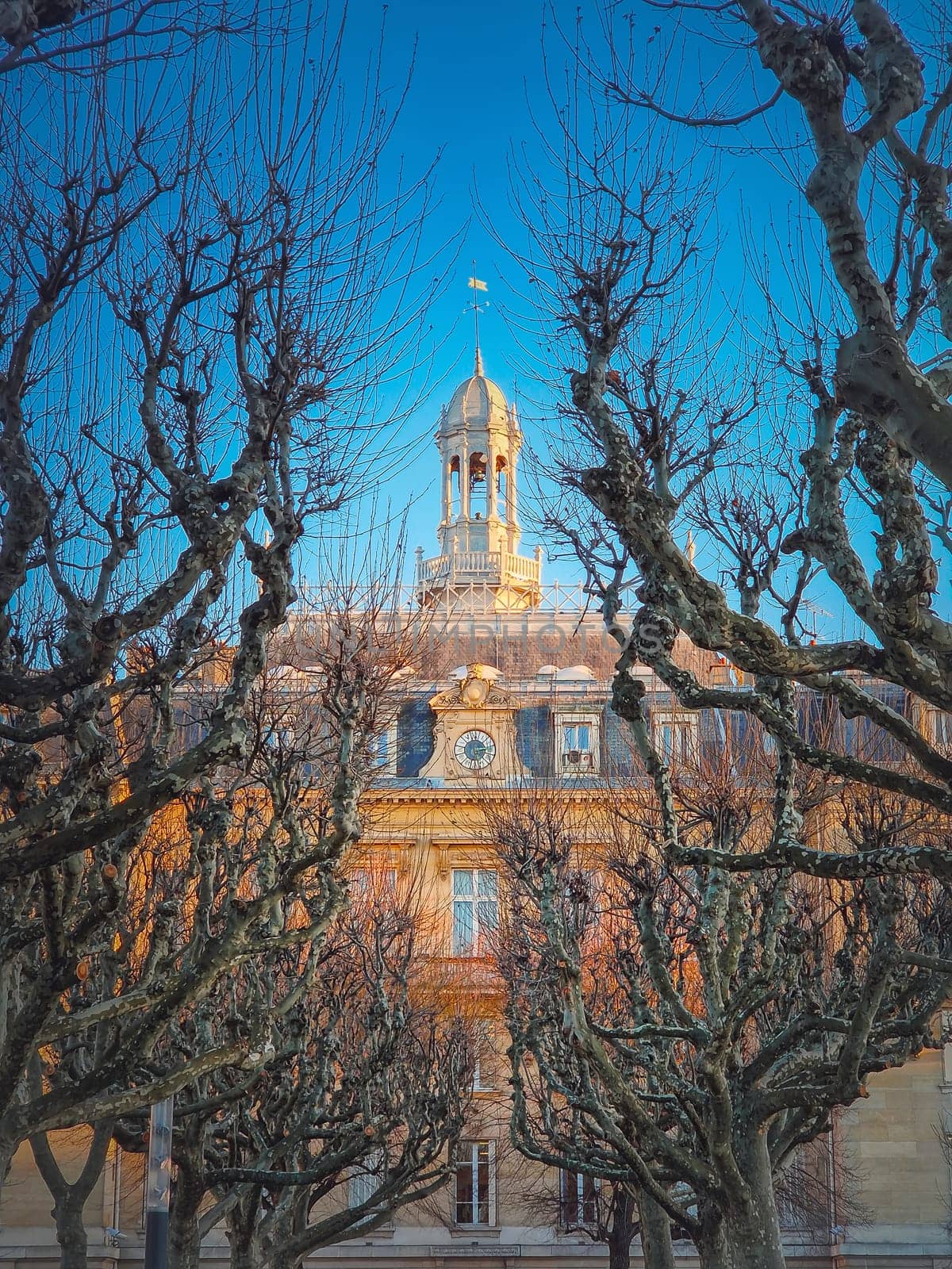 City Hall of Asnieres as seen through the sycamore trees alley outdoors in the park. Asnières-sur-Seine mairie backyard facade view, northwestern suburb of Paris, France by psychoshadow