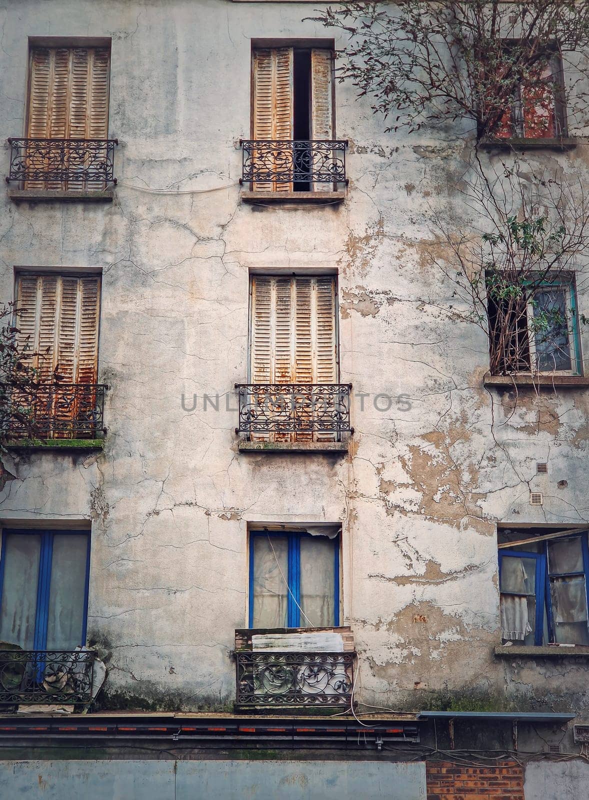 Abandoned building facade. Trees and bushes growing out of windows, rusted louvers and cracked concrete walls by psychoshadow