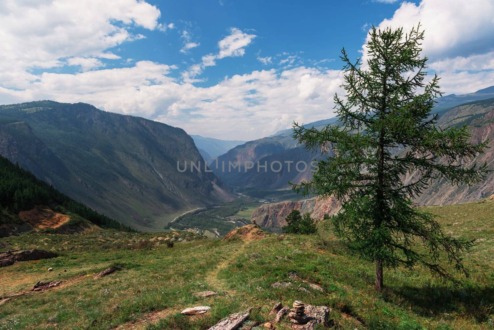 Valley of the river of Chulyshman. Altai mountains, Russia, beautiful summer day