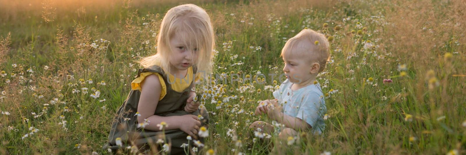 A little boy and a girl are picking flowers in a chamomile field. The concept of walking in nature, freedom and a healthy lifestyle by Annu1tochka