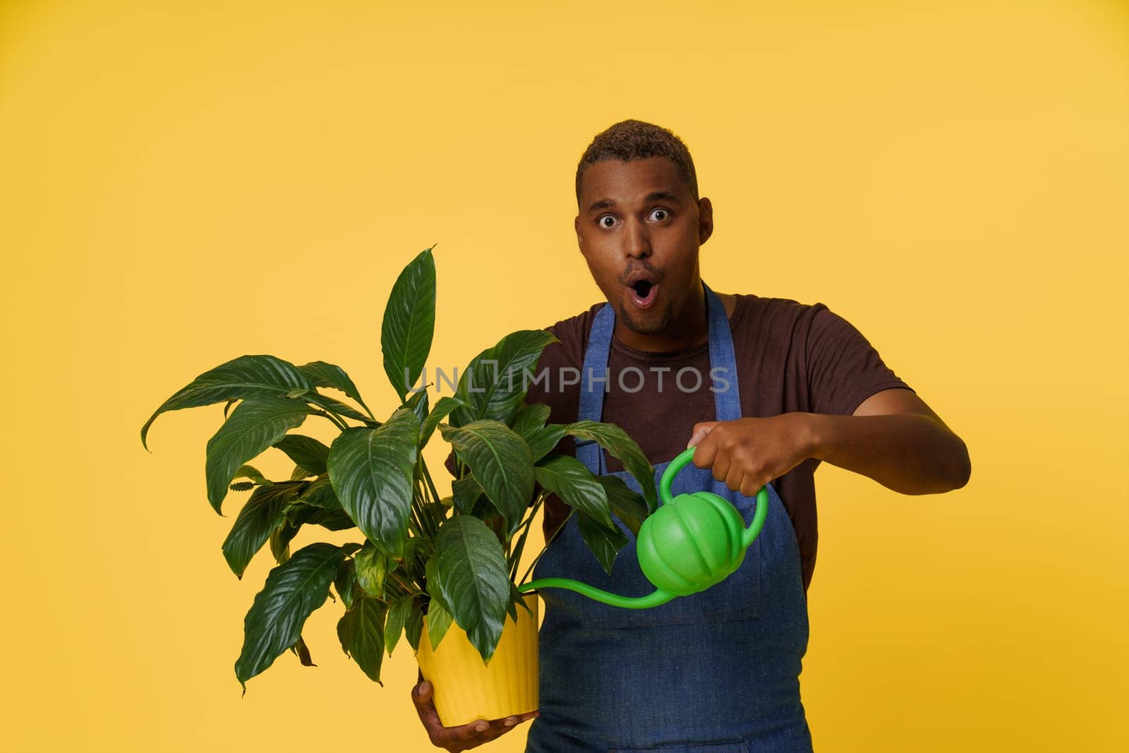 Happy African man using watering can to splash water on home flower with copy space on yellow background. Concept for nature, plant care, and gardening. High quality photo