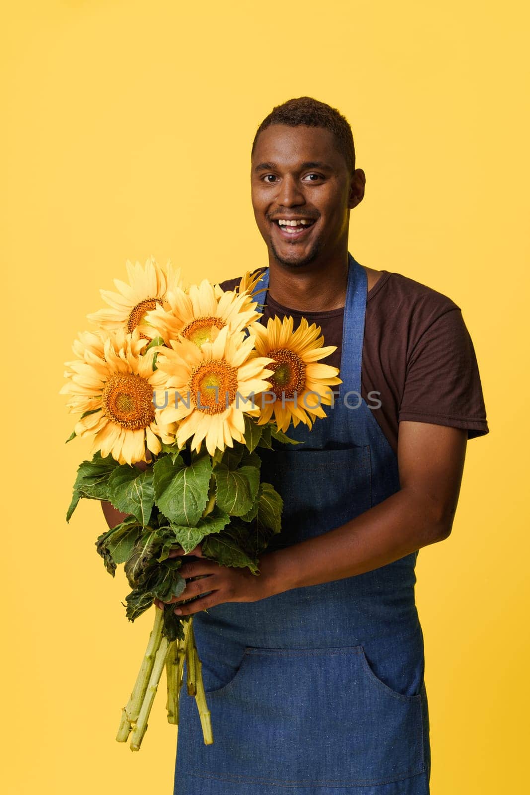Happy African man wearing blue apron and holding sunflowers with copy space on yellow background. Concept for nature, plant care, and gardening. High quality photo