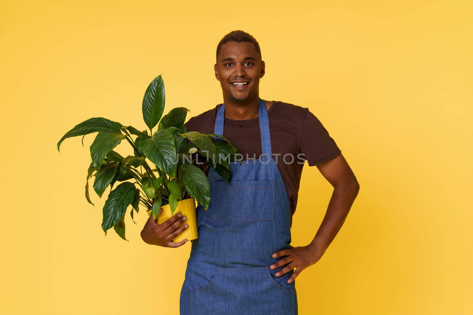 African American gardener holding a home flower on a yellow background. A concept for product placement and advertising. High quality photo