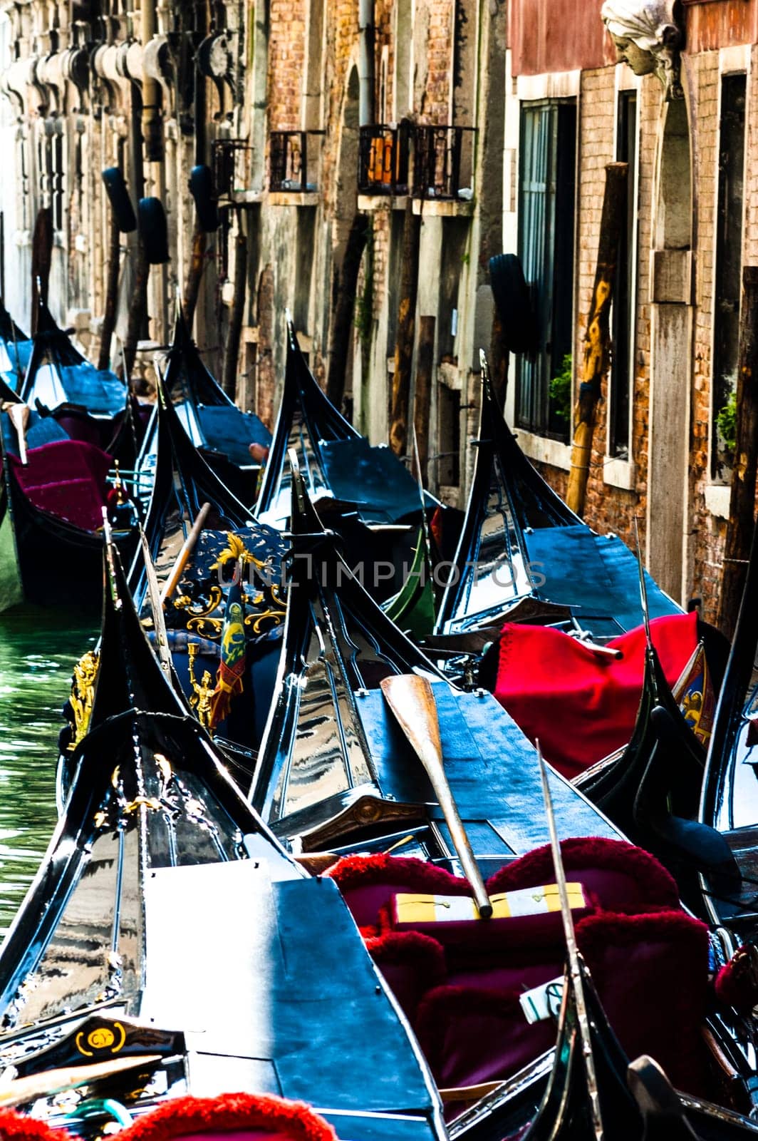 The gondolas in Venice by Giamplume