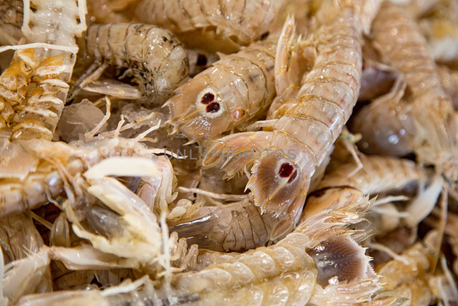 Top view of fresh prawns on a fishmonger's stall. Gourmet sea healthy food.