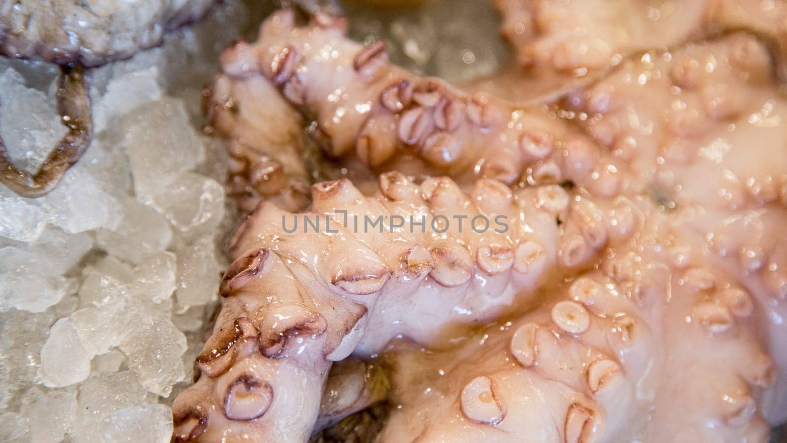 Top view of fresh polyp on a fishmonger's stall. Gourmet sea healthy food.