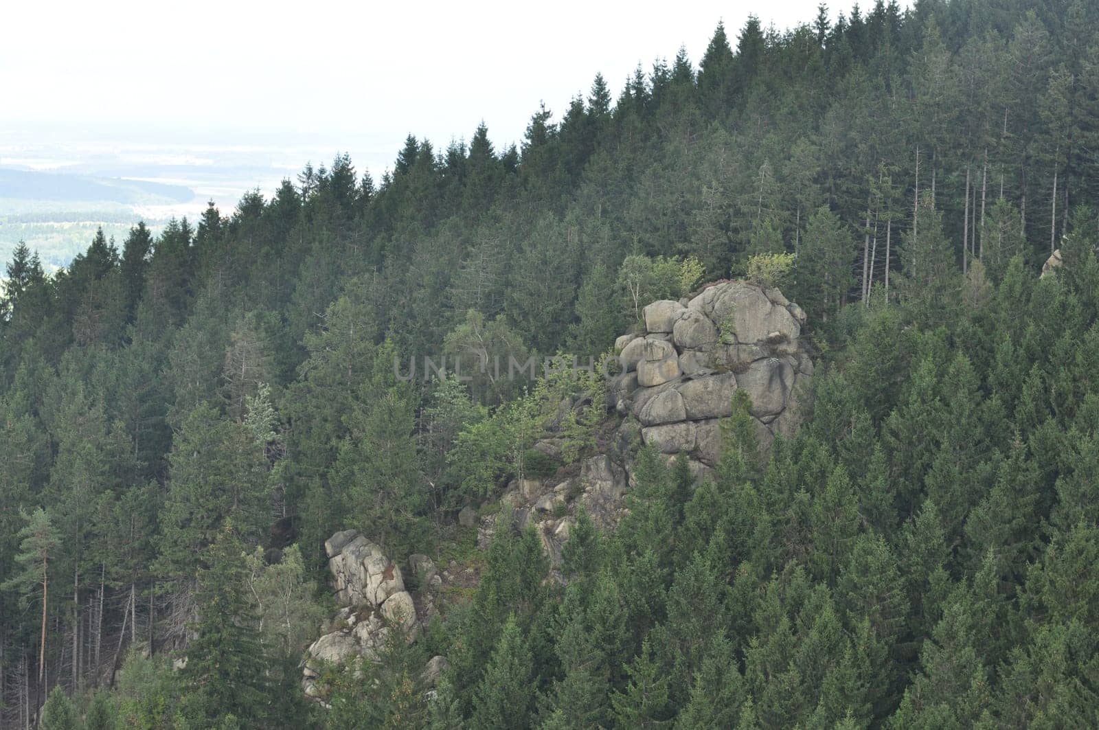 Kaesteklippen, Harz Mountains in Bad Harzburg, Germany