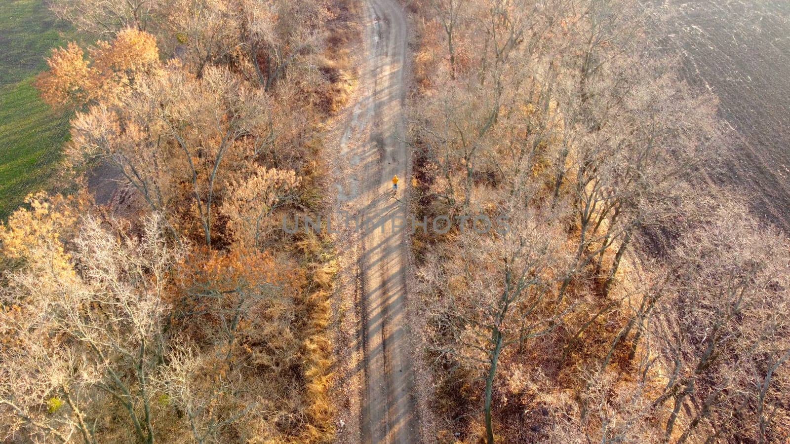 Person on orange jacket standing with bicycle on dirt country road between trees without leaves on autumn sunny day. Rural countryside landscape, country scenery. Aerial drone view. Travel tourism