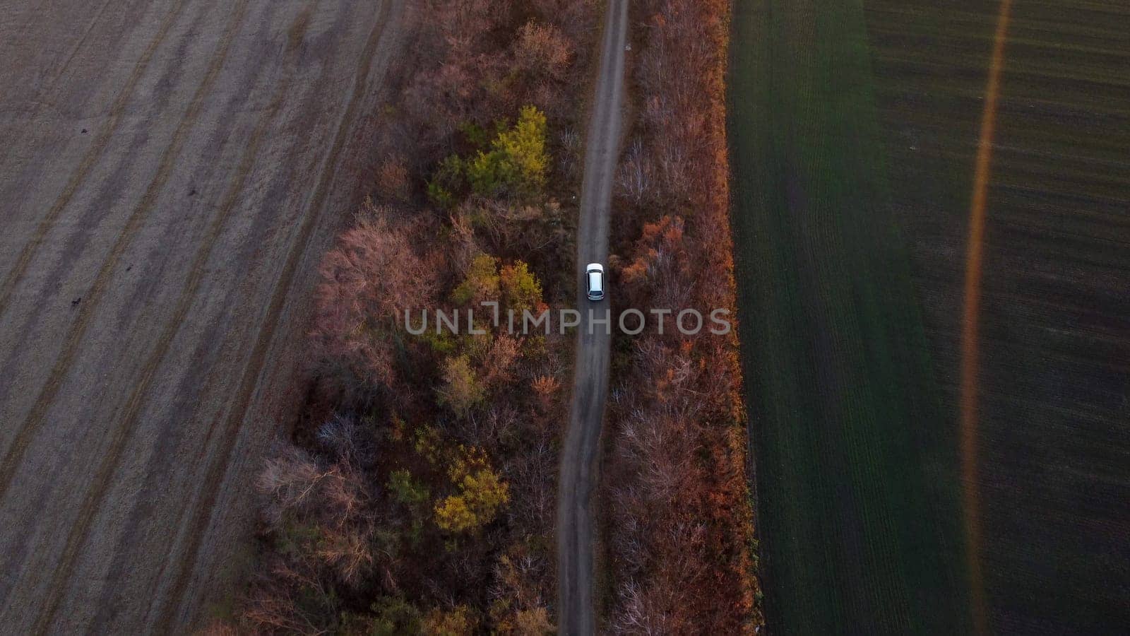 White car driving dirt road between agricultural fields countryside autumn evening. Top view, aerial drone view. Transport transportation shipping. Travel tourism traveler trips tourist travelling