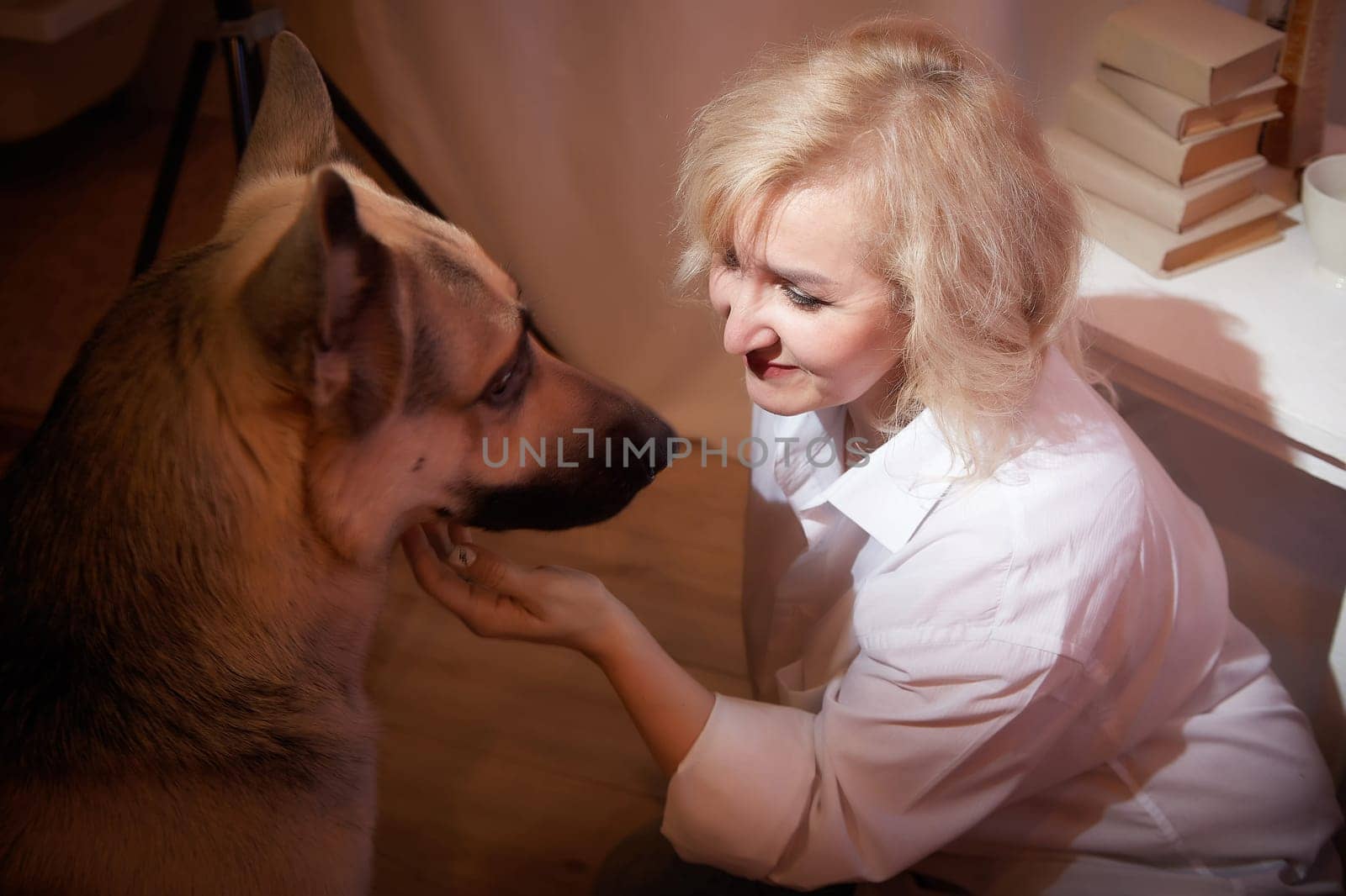 Adult mature woman of 40-60 with big shepherd dog in white shirt. Room with calm cozy evening atmosphere with transparent curtains and soft warm light of lamps. Concept of love for animals and pets by keleny