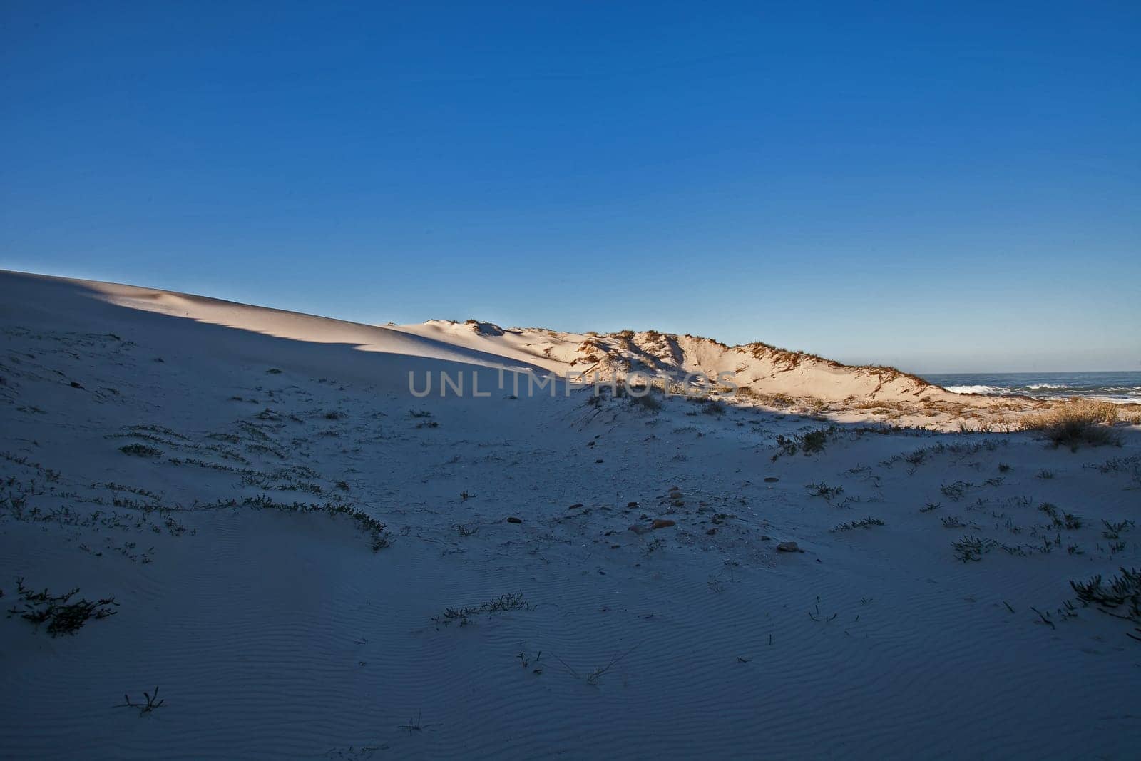 Namaqualand Beach Dunes 11353 by kobus_peche