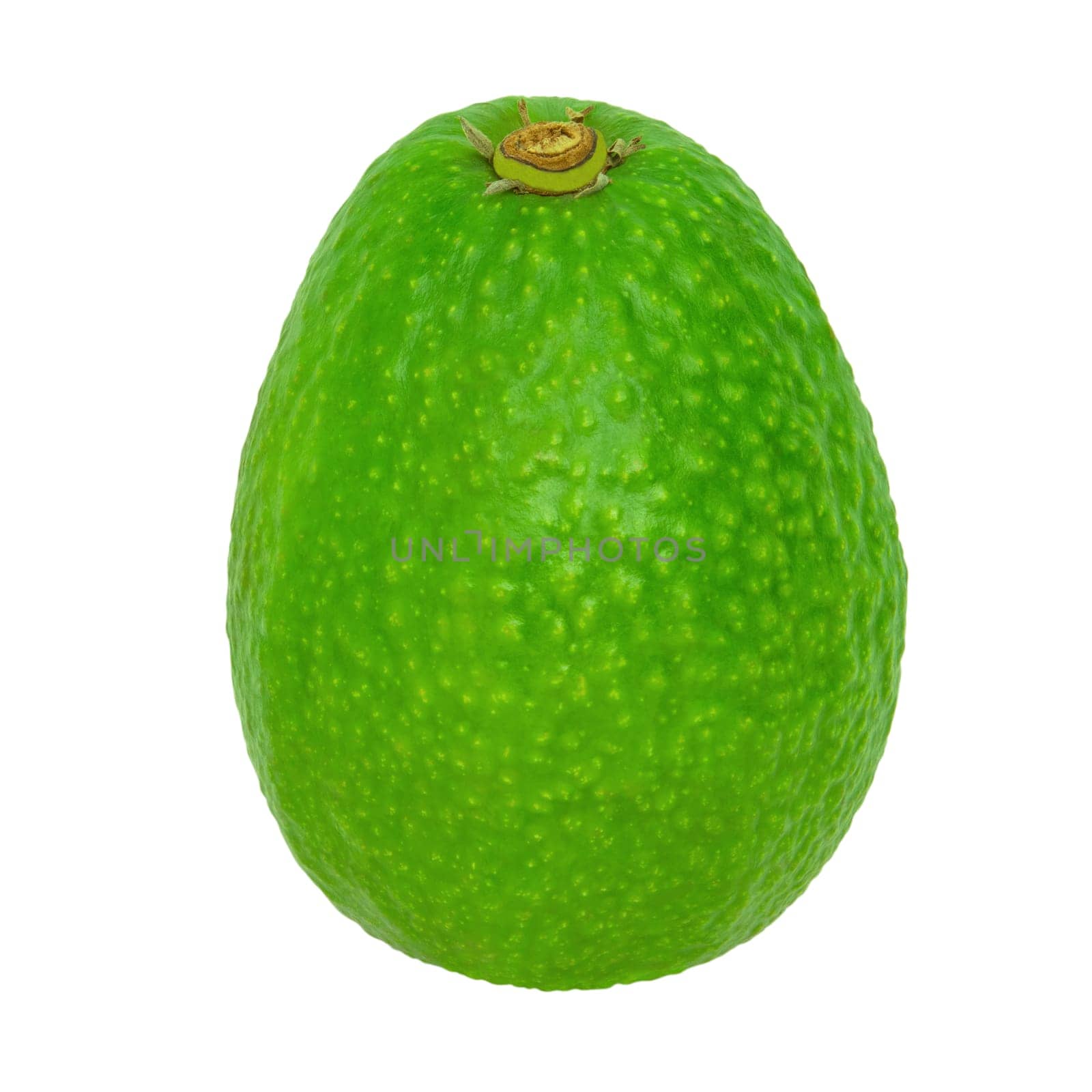 Green avocado isolated on a white background. Stock photography.