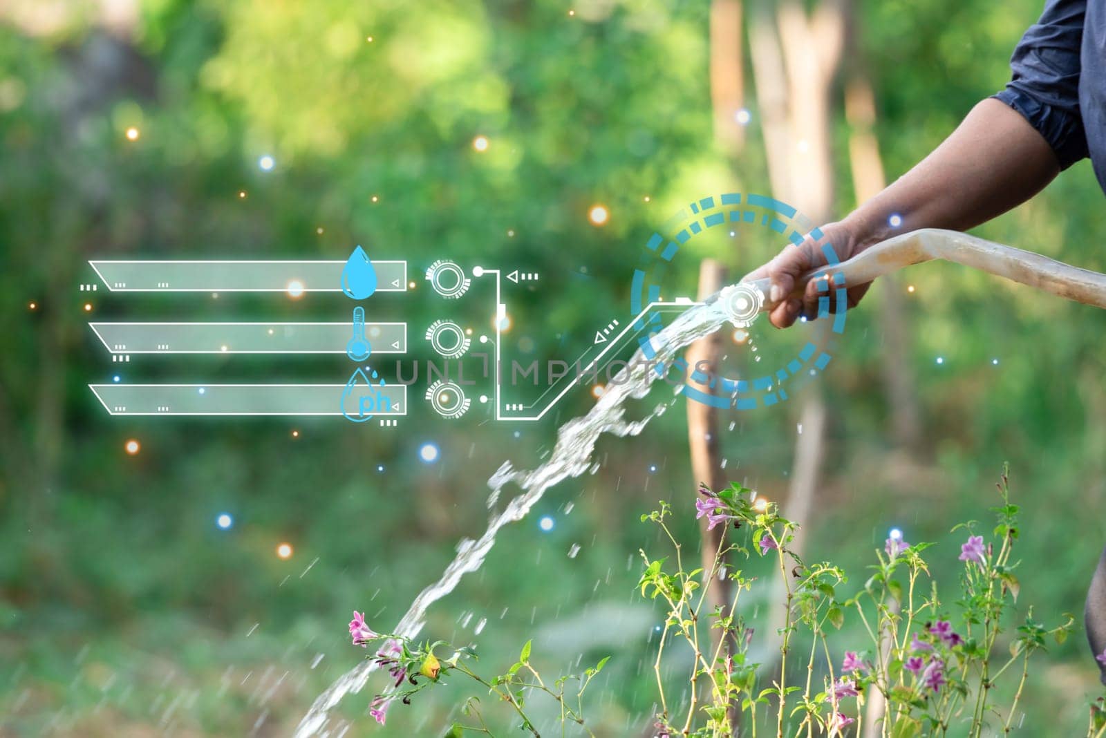 Smart Farm, Gardener watering plants in garden by NongEngEng