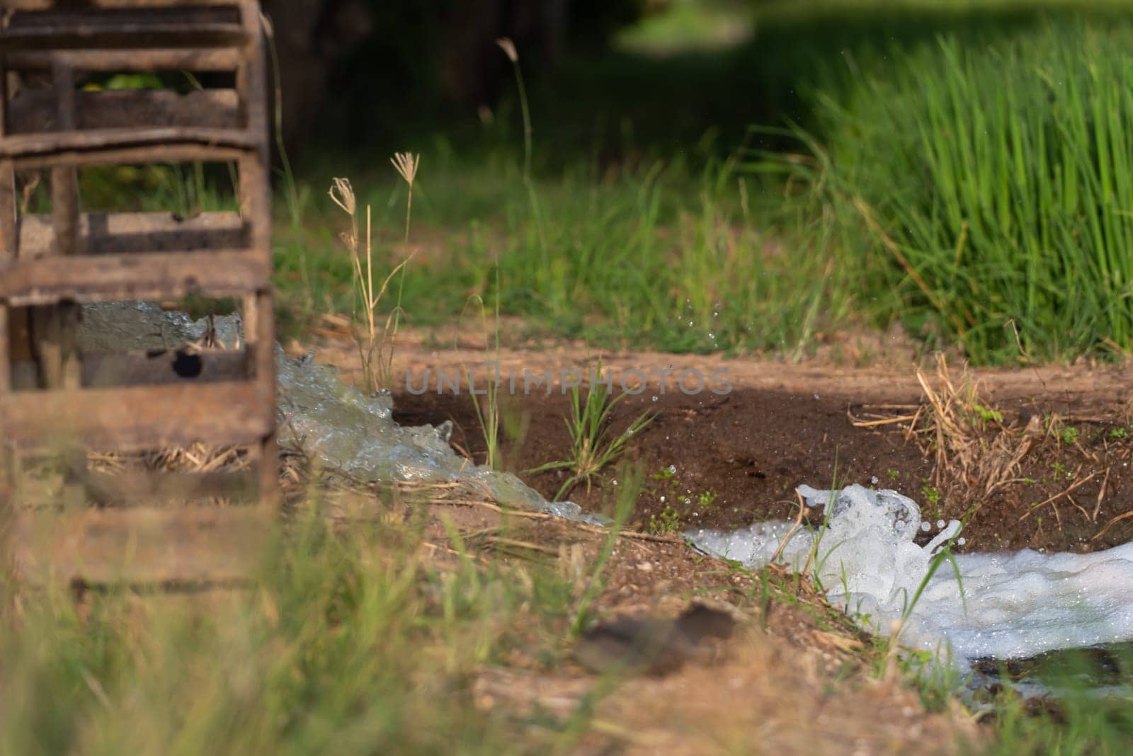 Watering nature of rice field on rice paddy by NongEngEng