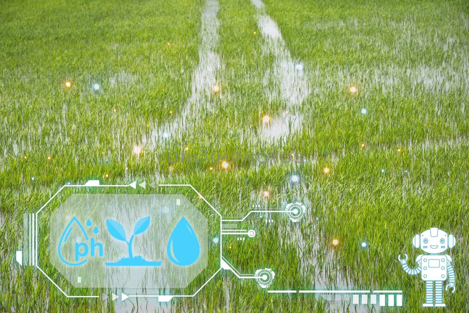 Smart farm digital icon and futuristic AI data infographic of Watering of nature rice field on rice paddy green color lush growing is a agriculture in asia