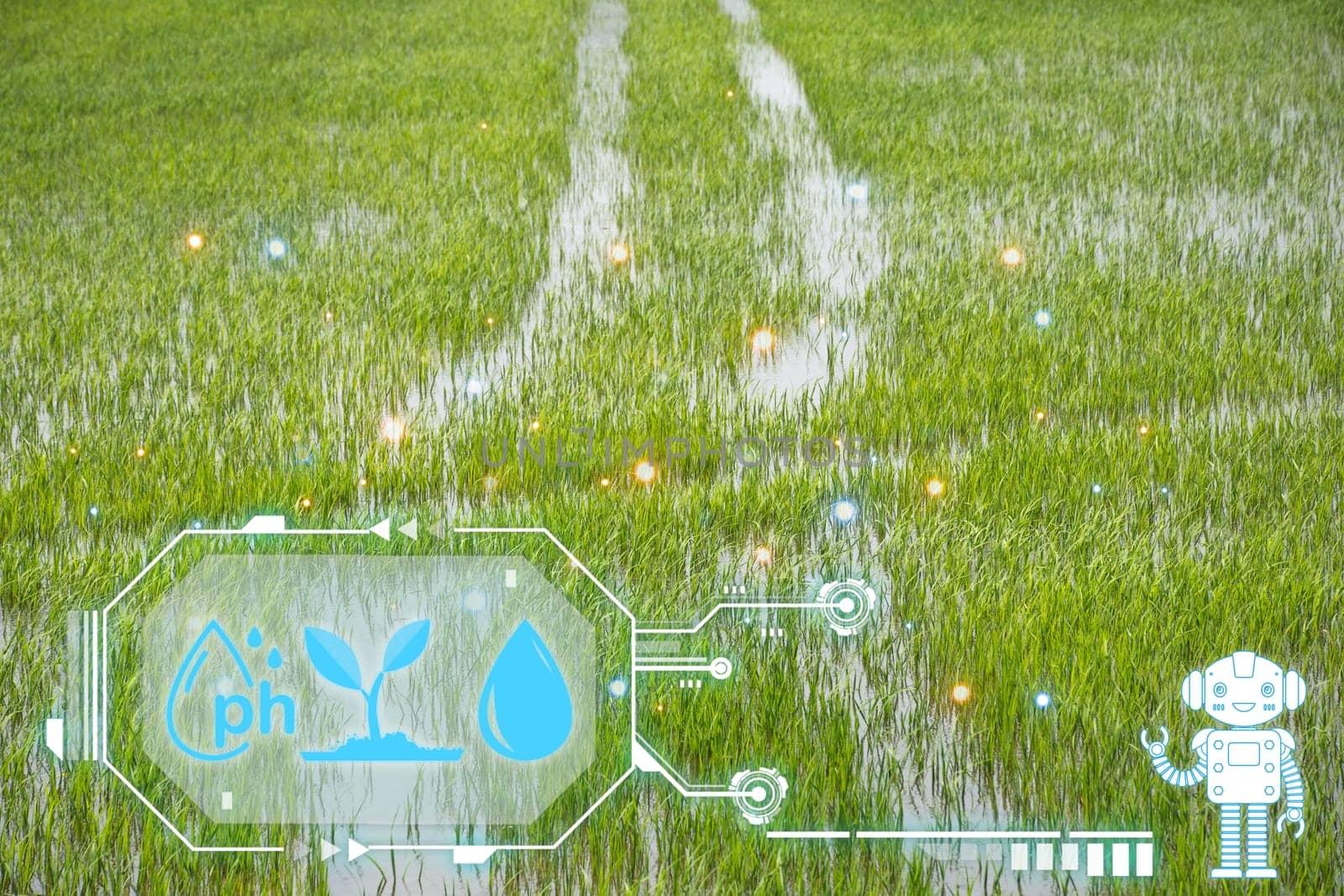 Smart Farm, Watering nature rice field rice paddy by PongMoji