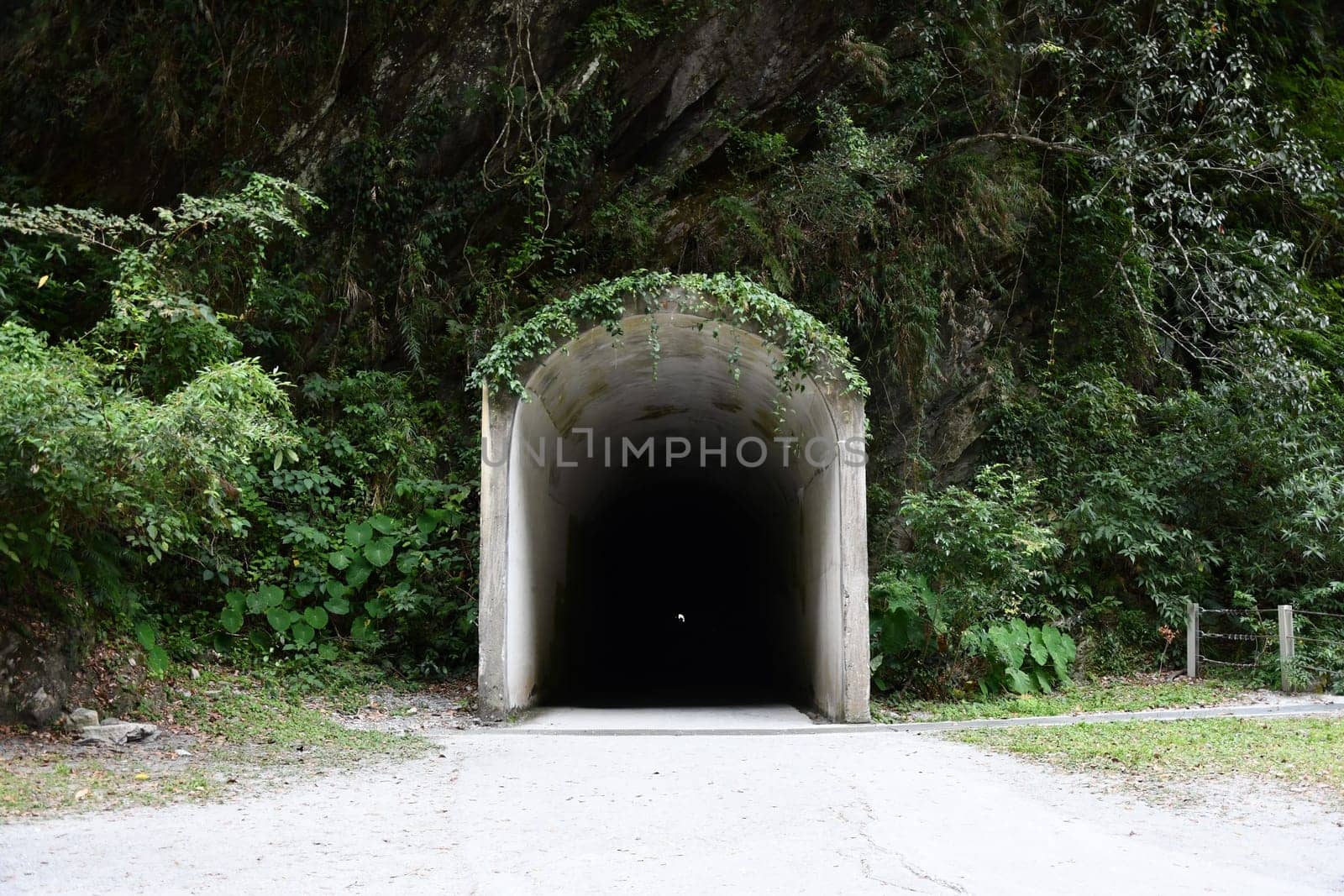 View of an entry of a long and dark tunnel in the mountains at Tianxiang, Xiulin