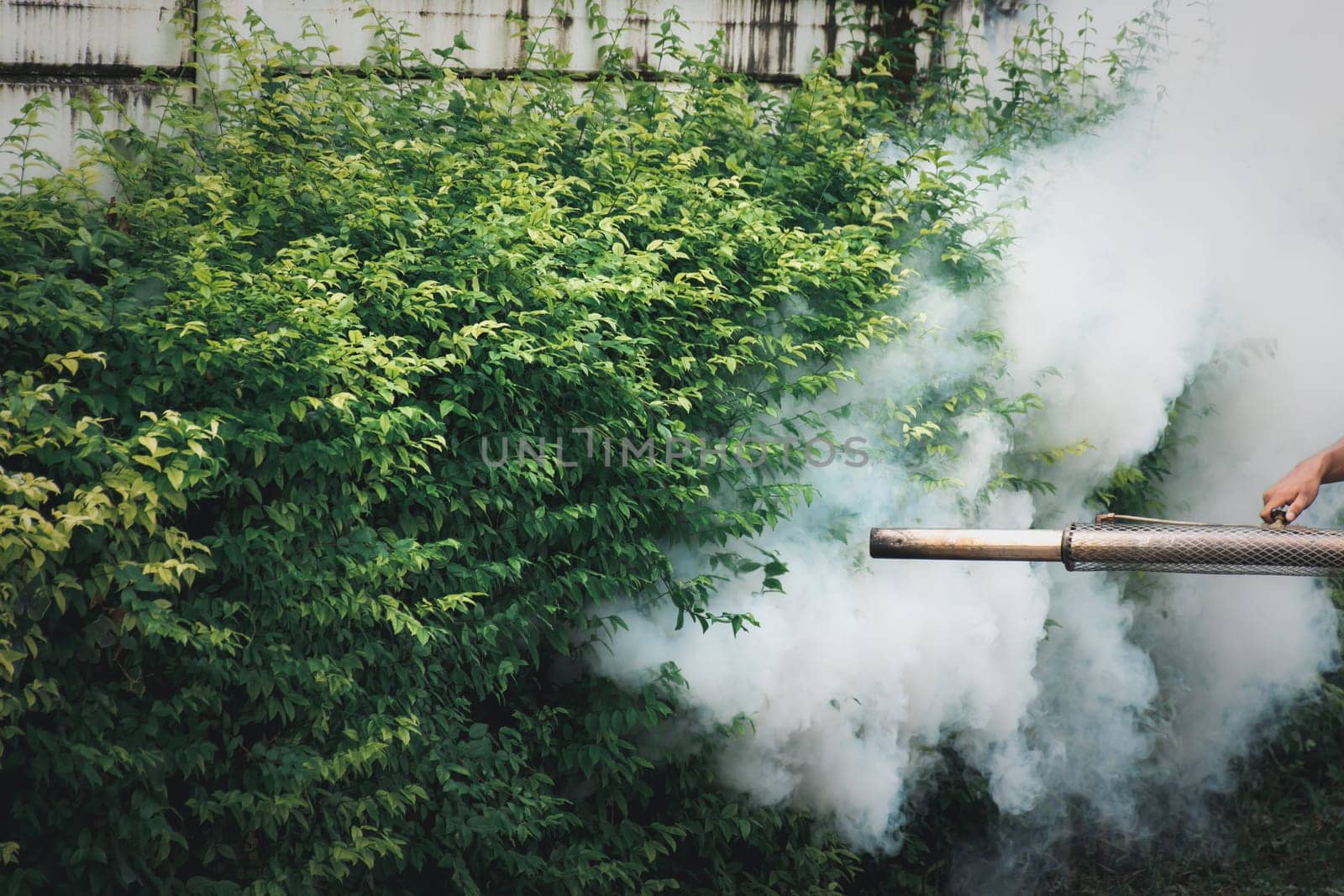 Fogging DDT spray mosquito kill for virus protect by PongMoji