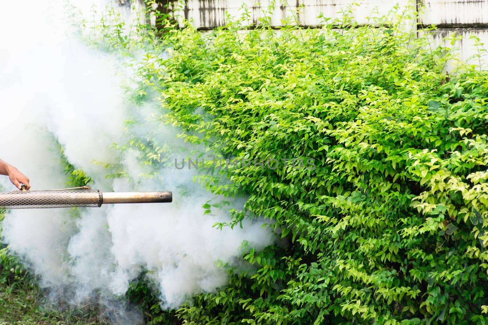 People fogging DDT spray for mosquito kill and protect by control mosquito is a carrier of Malaria, Encephalitis, Dengue and Zika virus in village.