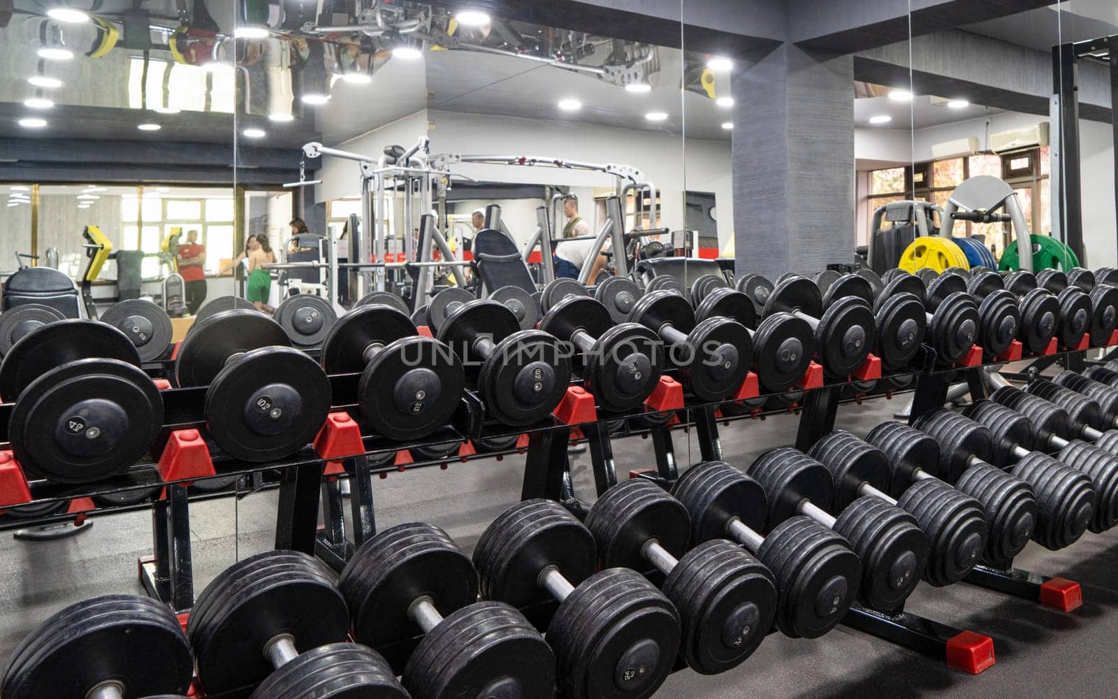 The dumbbells in the sports complex