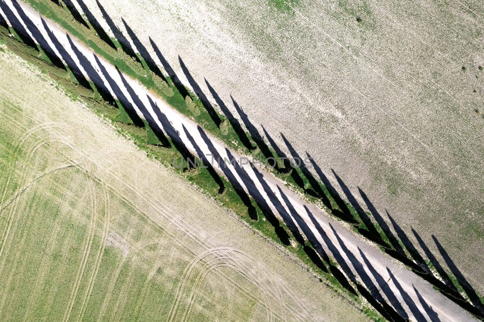 Aerial photographic documentation of a cypress road in the province of Siena Tuscany Italy 