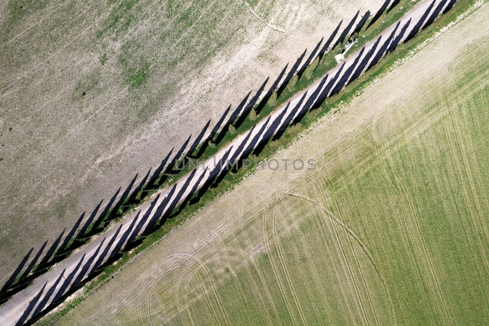 Aerial photographic documentation of a cypress road in the province of Siena Tuscany Italy 