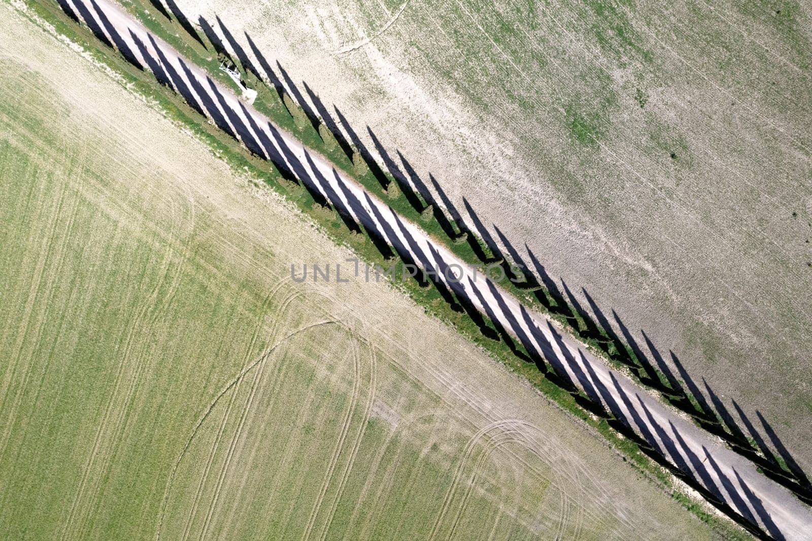 Aerial photographic documentation of a cypress road in the province of Siena Tuscany Italy 