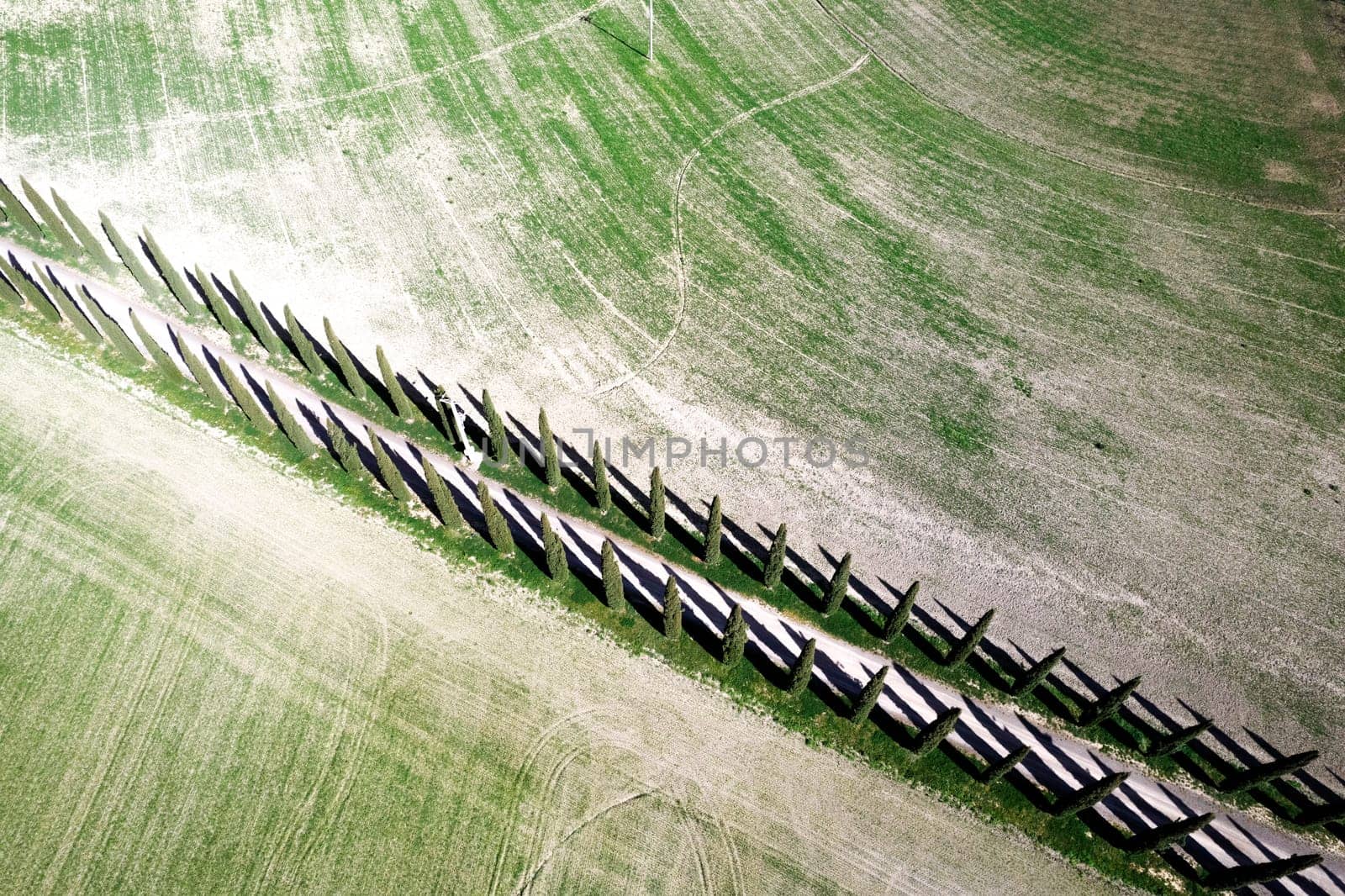 Aerial photographic documentation of a cypress road in the province of Siena Tuscany Italy 