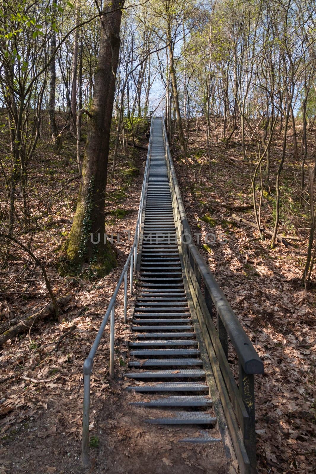 very high metal stairs in the nature reserve by compuinfoto