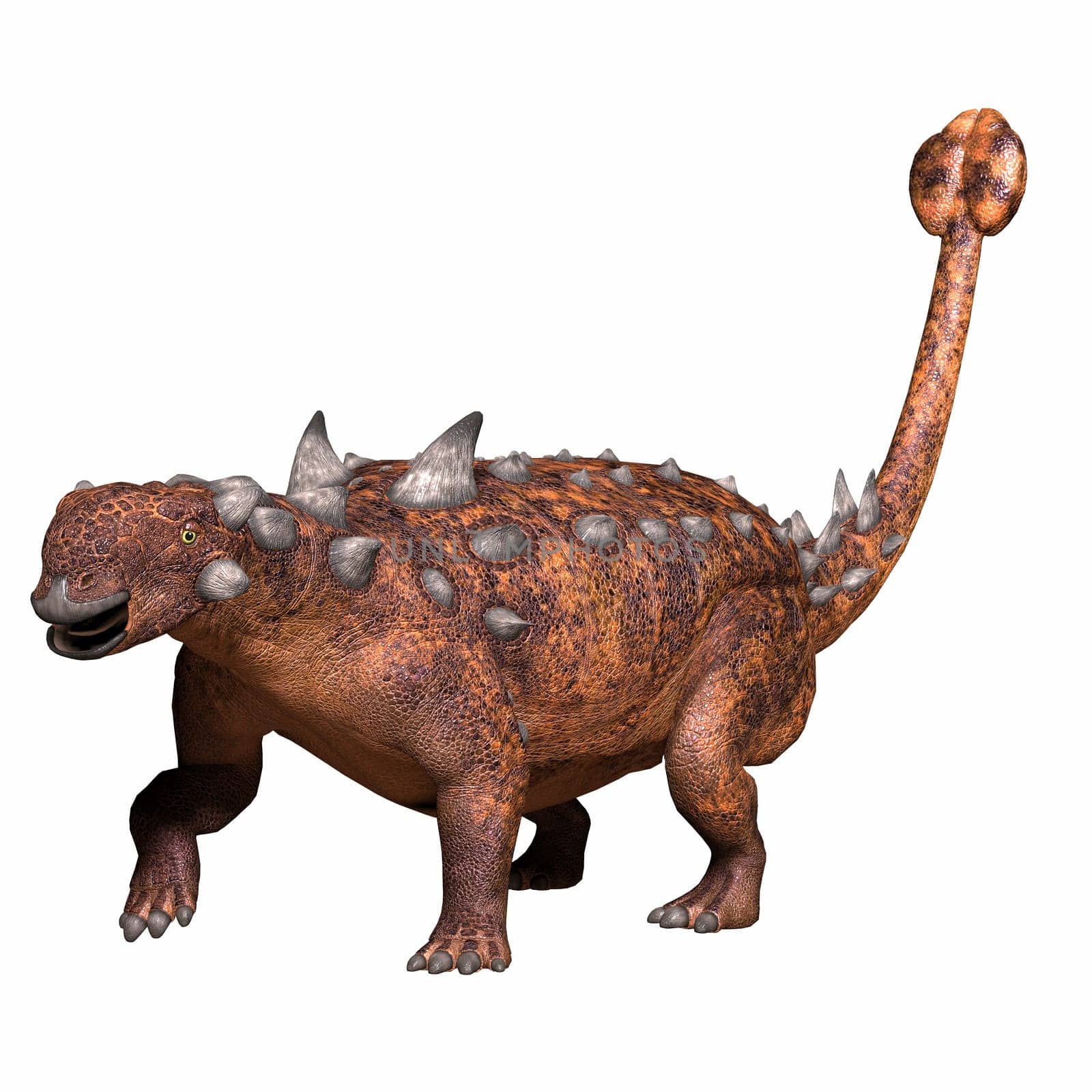 Euoplocephalus Ankylosaur by Catmando