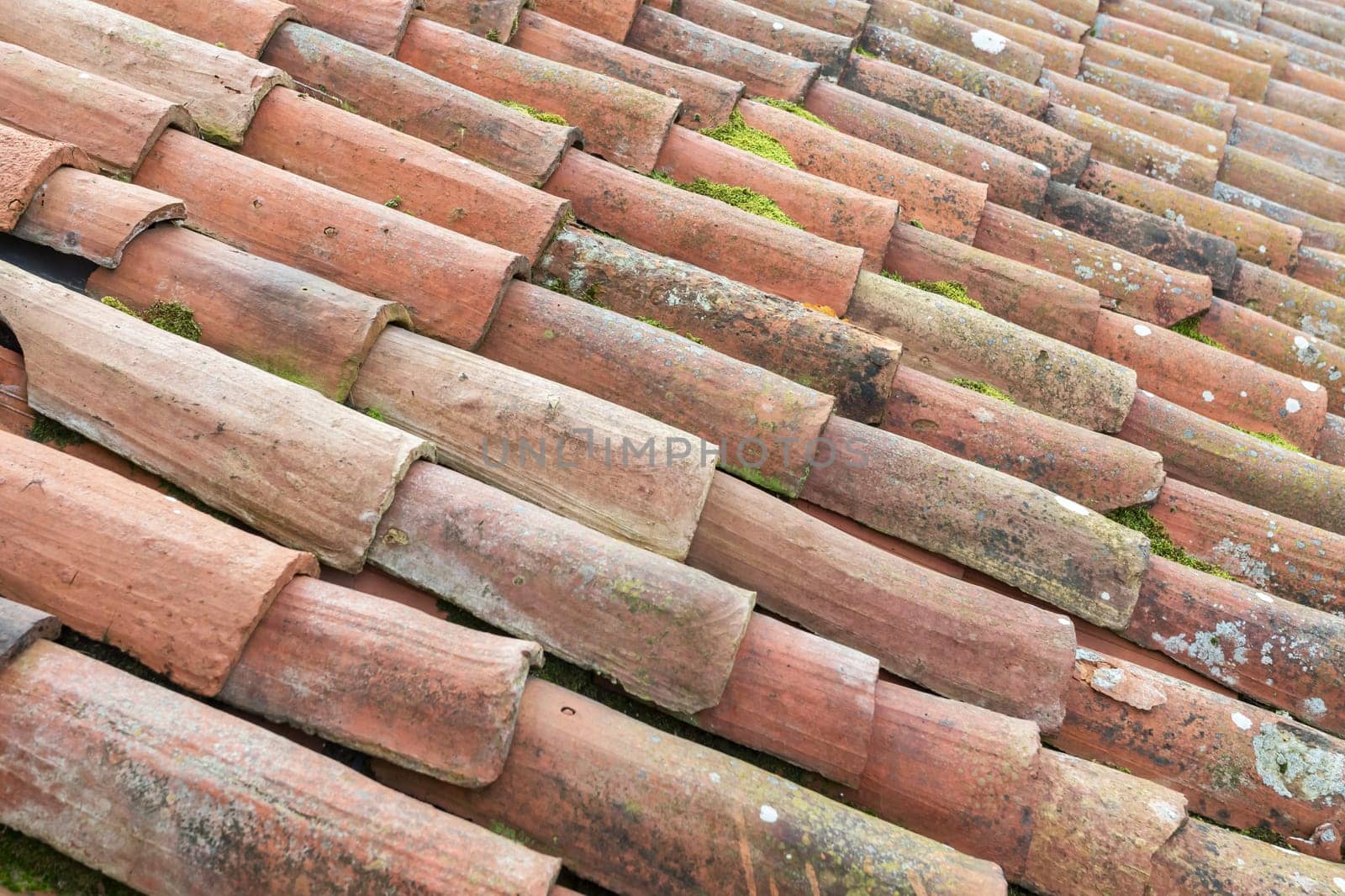 Old roof to be will renovated. Green moss.