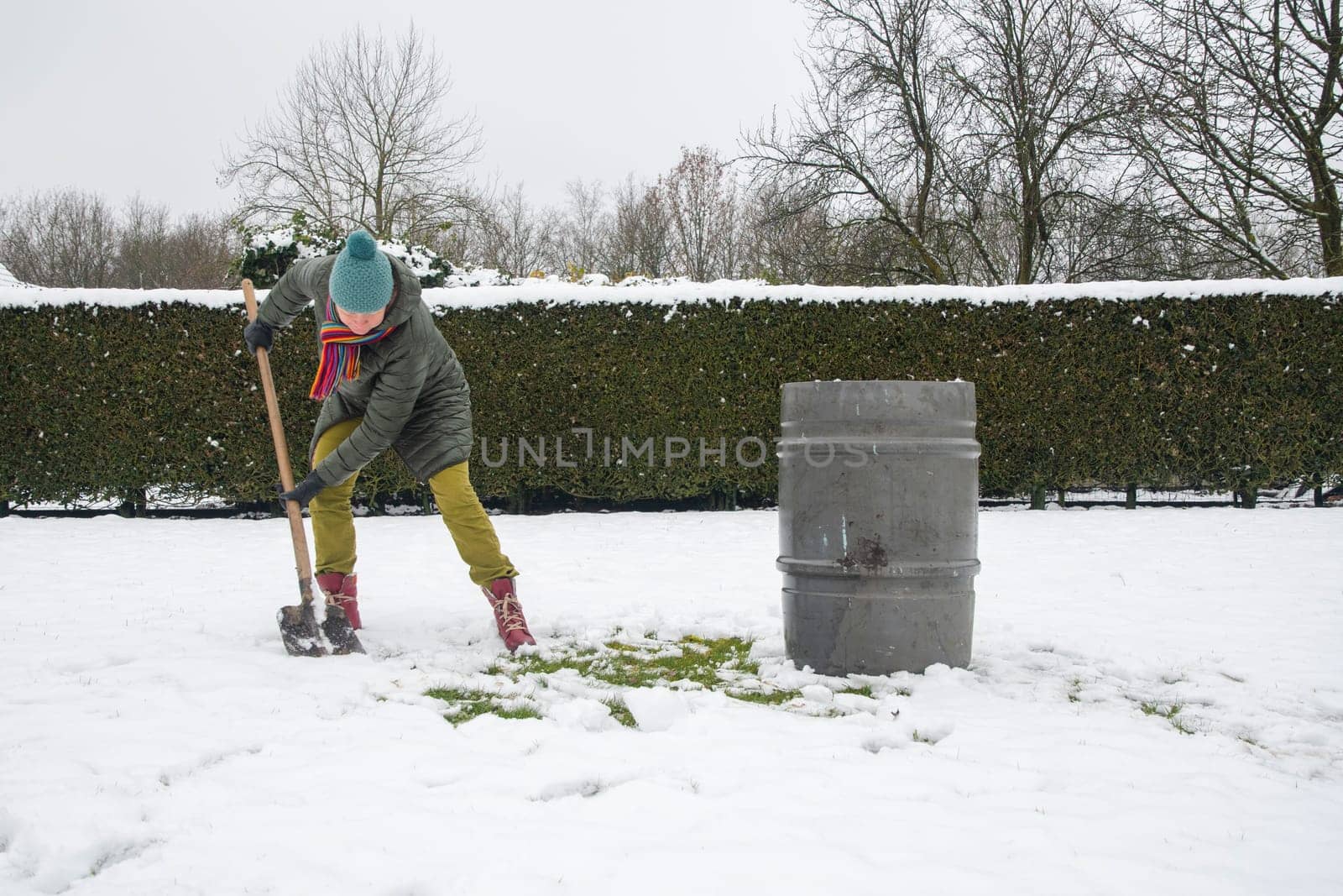 a middle-aged woman is collecting snow in a barrel with a shovel. For further watering plants in a greenhouse, the concept of protecting the environment and conserving natural resources