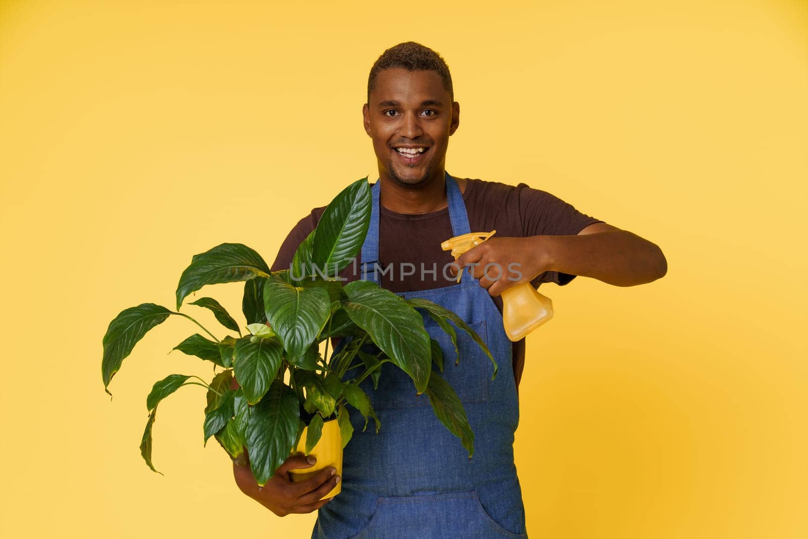 Happy African man splashing water on home flower with copy space on yellow background. Concept for nature, plant care, and gardening. High quality photo