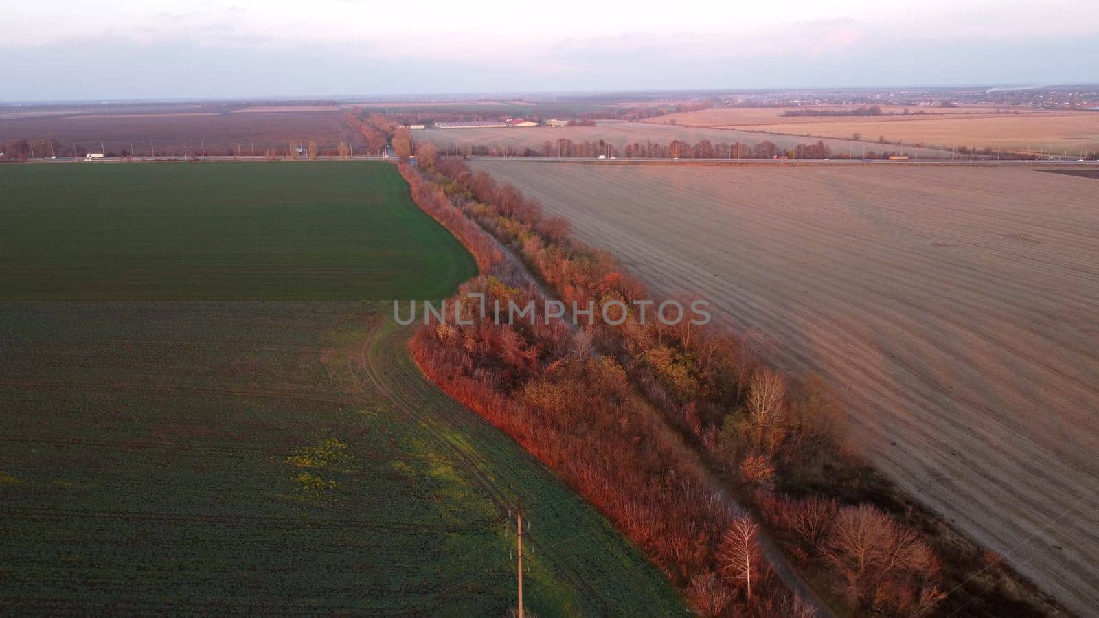 Beautiful agricultural farm landscape on different agricultural fields and highway with driving cars on sunny autumn evening. Fields sown green plants, fields harvested wheat, road. Aerial drone view