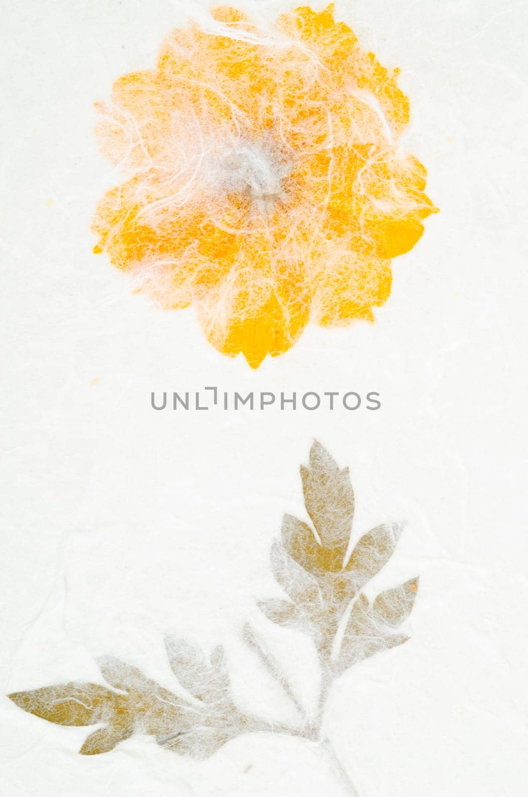 White mulberry paper with yellow flower texture background.