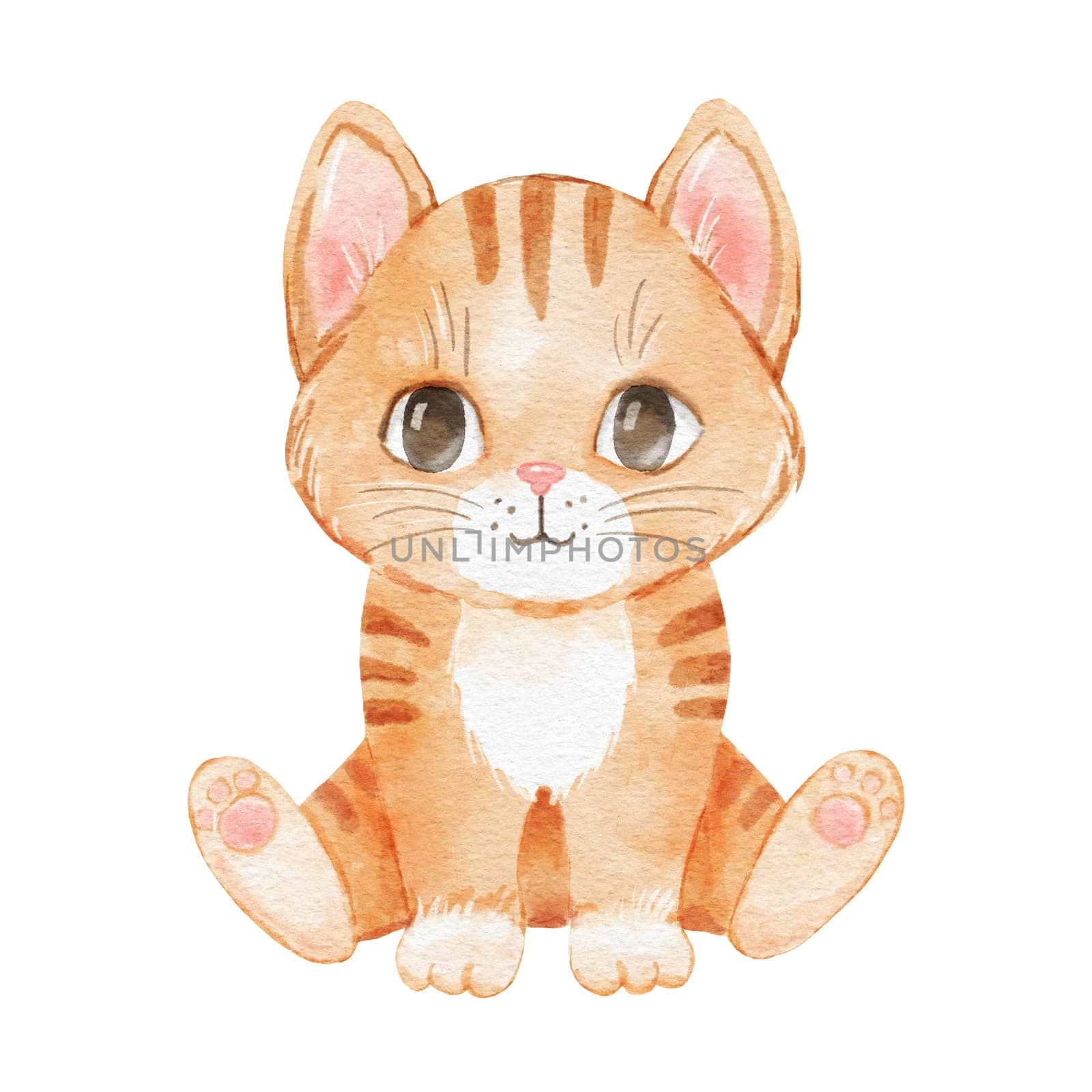 Cute cartoon cat isolated on white. Watercolor pet kitten is sitting. Childish funny character by ElenaPlatova