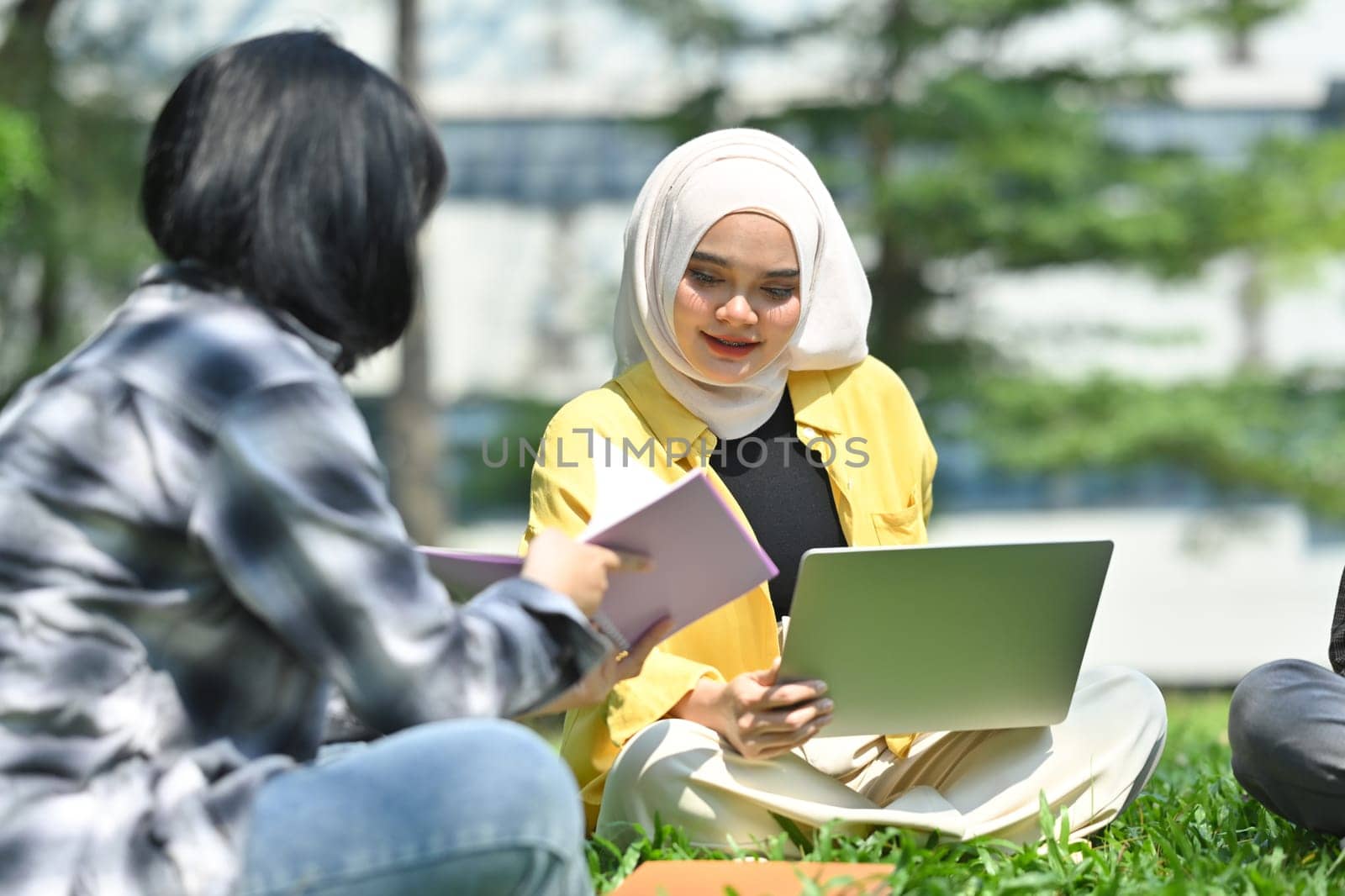 Group of university student discussing their home assignment, using laptop on green grass in campus. Youth lifestyle concept.