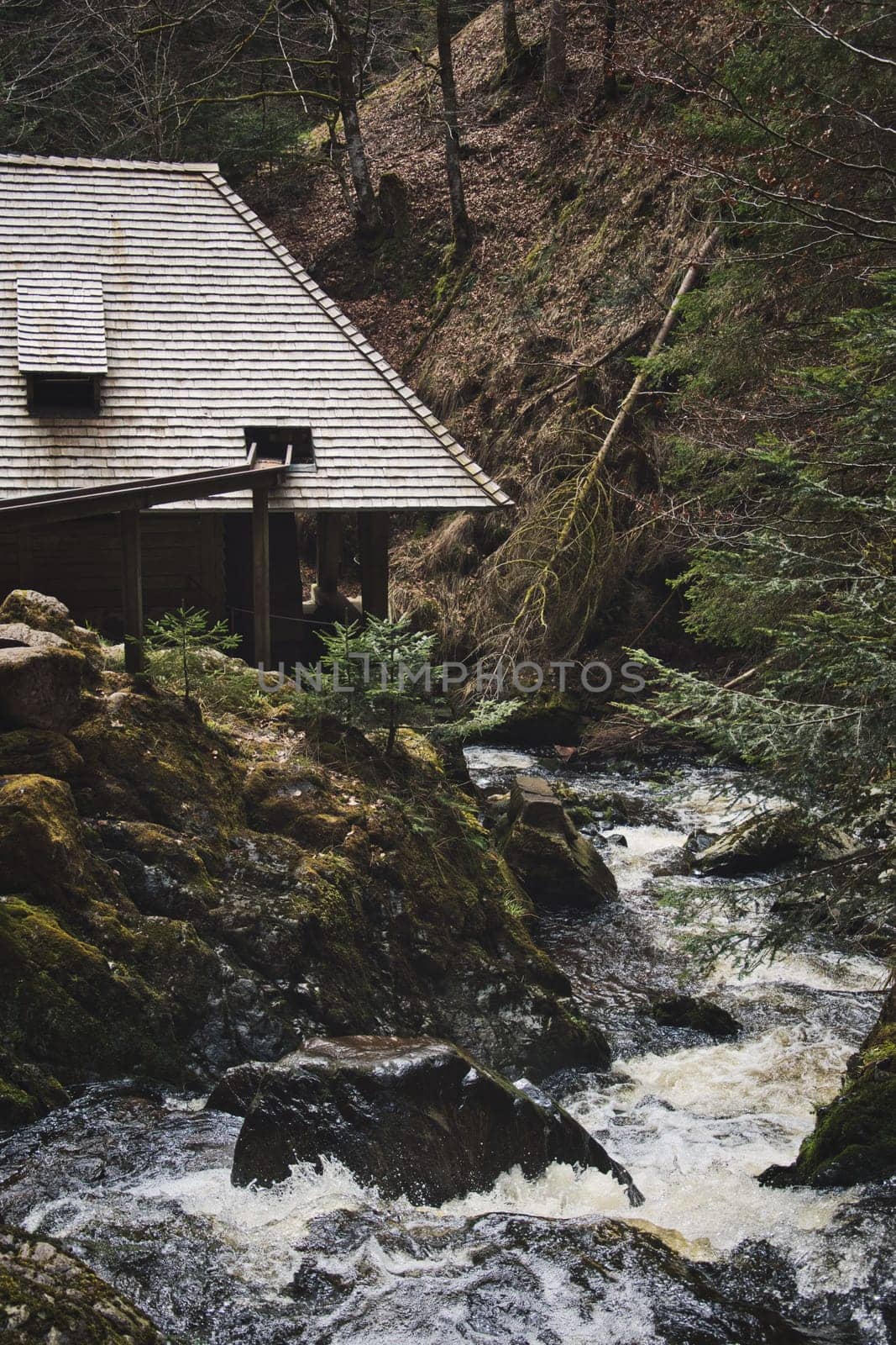 Vertical shot of the Grosjockenmuehle mill in the Ravenna Gorge. Black Forest, Germany