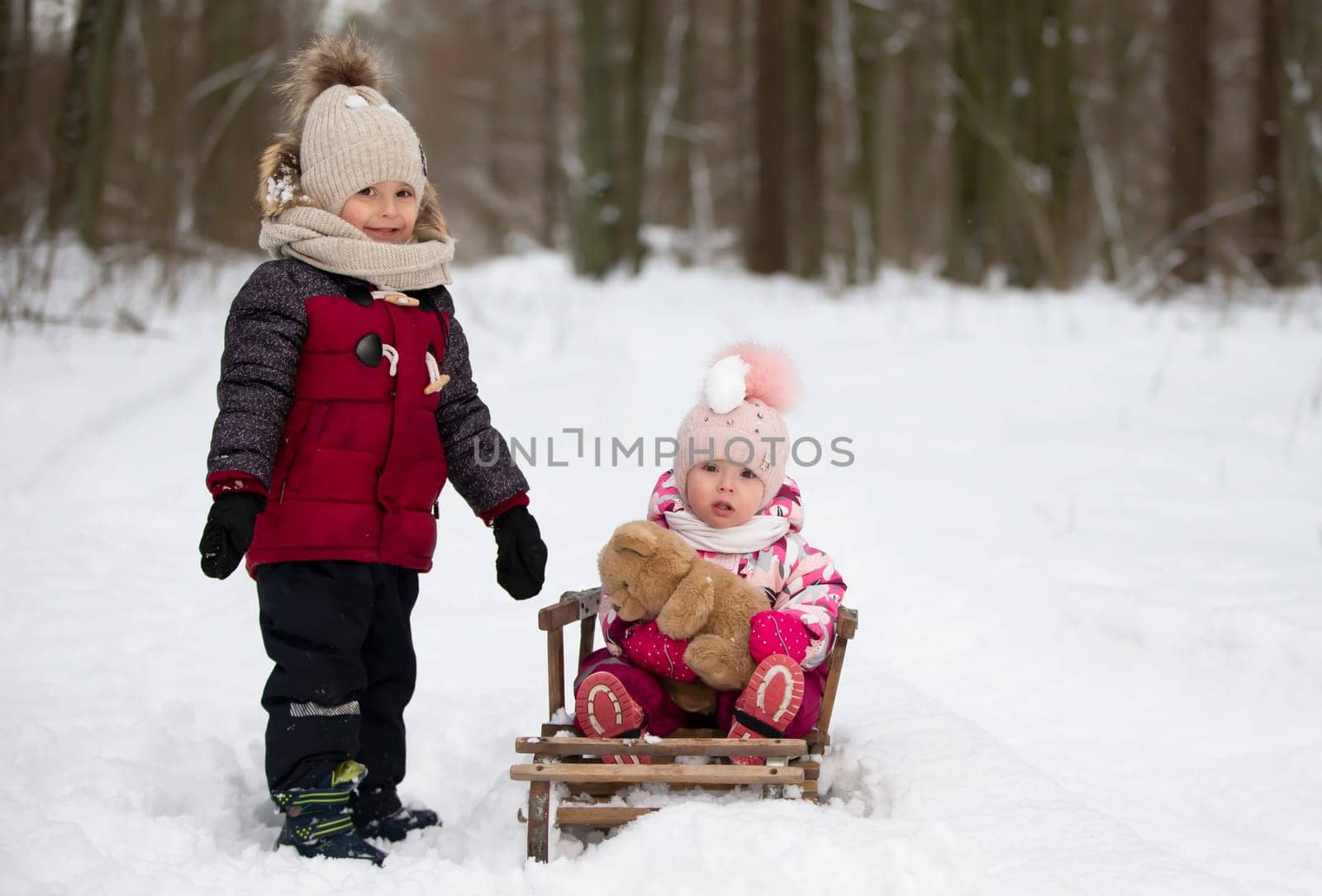 Children ride on a vintage wooden sled against the backdrop of a winter forest. Brother and little sister on a winter walk. by Sviatlana