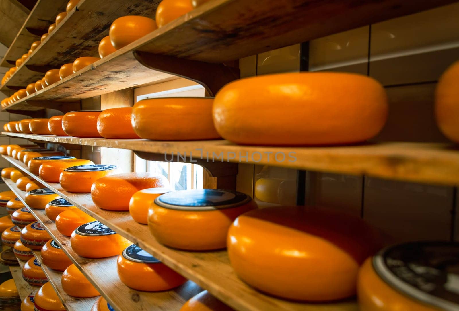 cheese wheels made in the Netherlands by contas